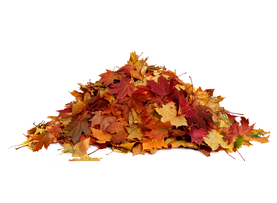 Yard debris and garden waste